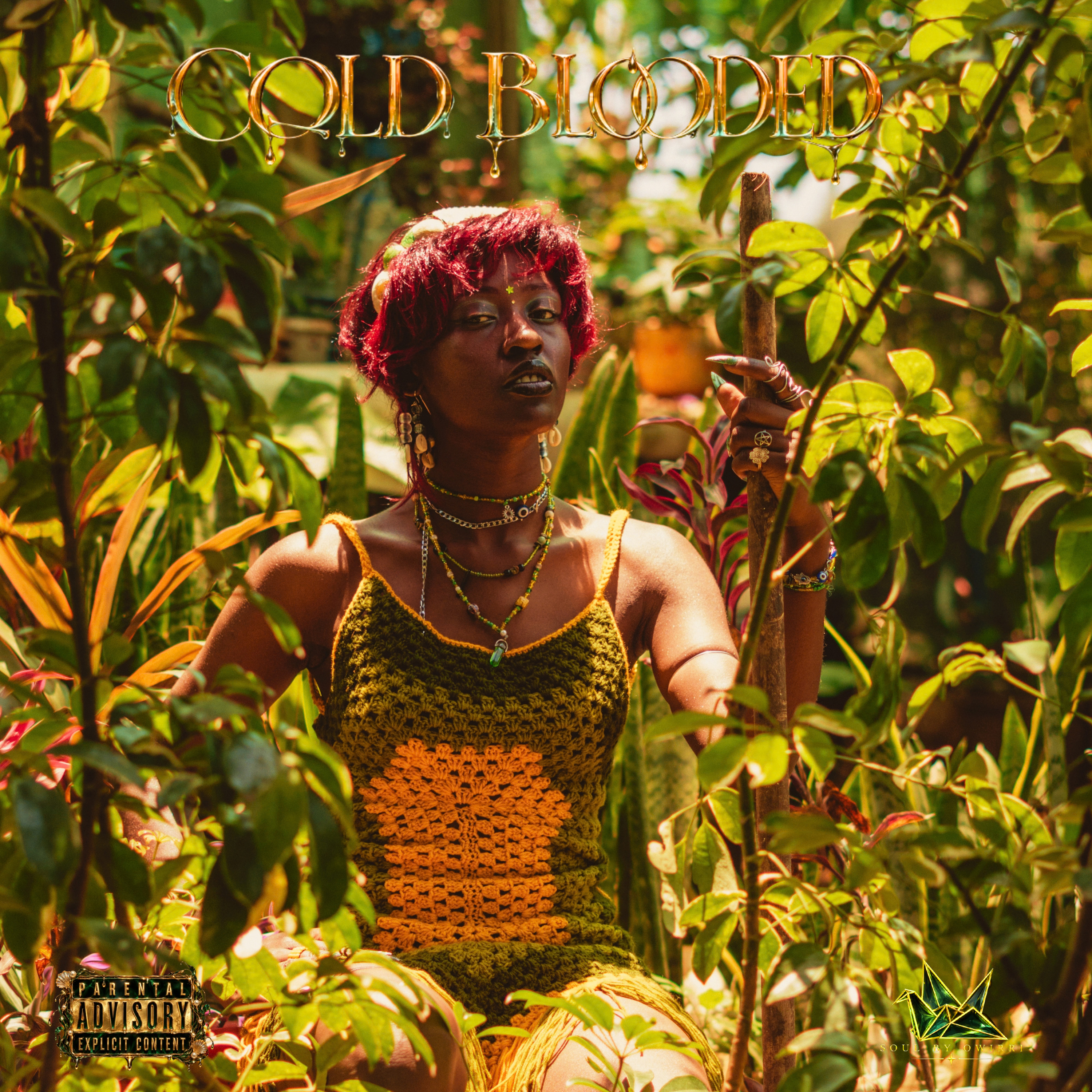 Cold Blooded, the debut album by Owirri